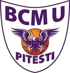 BCMUS Arges Pitesti Logo đội